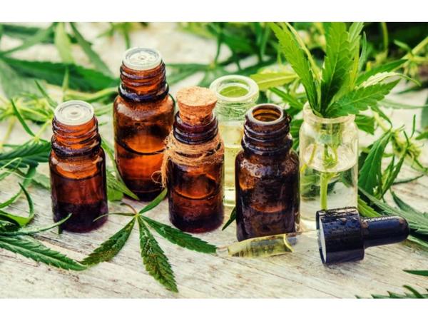 Cámara de Cannabis denuncia irregular registro en Dinapi