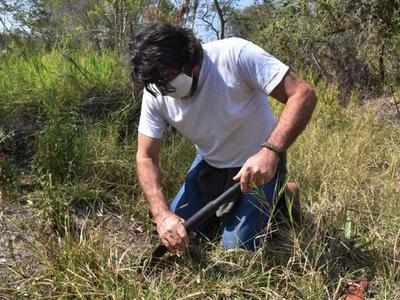 Parque: Especies invasoras serán cambiadas  por  nativas