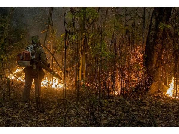 Brasil declara “estado de calamidad” en el Pantanal