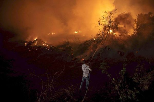 Los fuegos en el Pantanal obligan  a accionar el estado de calamidad - Mundo - ABC Color