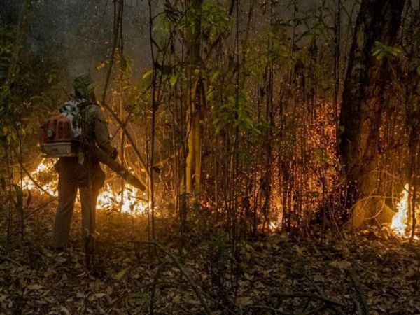 Brasil declara “estado de calamidad” en el Pantanal