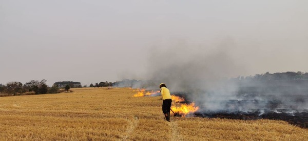 Bomberos del Este piden sanciones severas para los que queman basura y pastizales