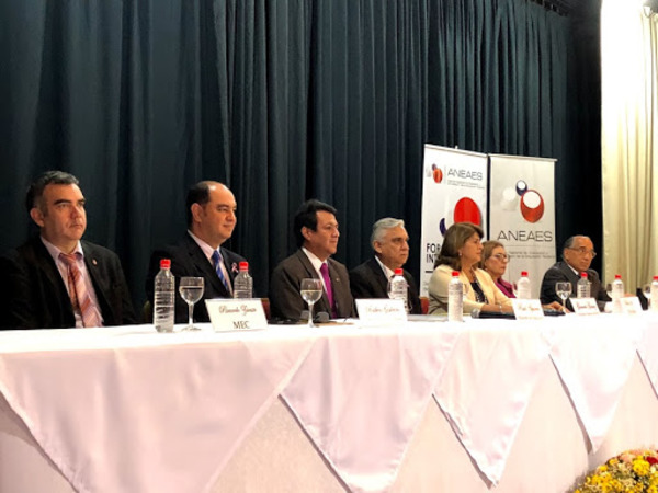 La ANEAES presentó su rendición de cuentas del periodo 2019 y destacan la cantidad de carreras acreditadas » Ñanduti