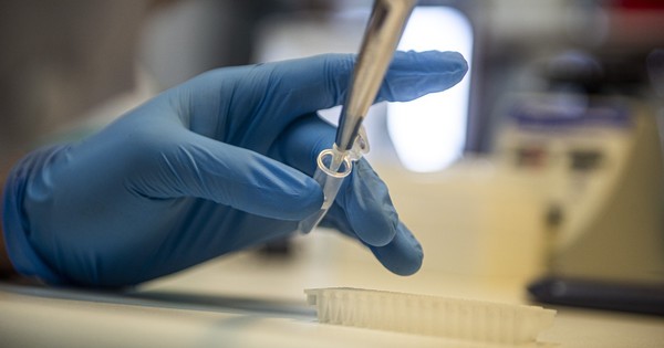 La Nación / Emiratos aprueba una vacuna contra el COVID-19 para personal sanitario