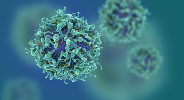Descubren enzima que puede llegar a utilizarse para atacar el cáncer - Ciencia - ABC Color