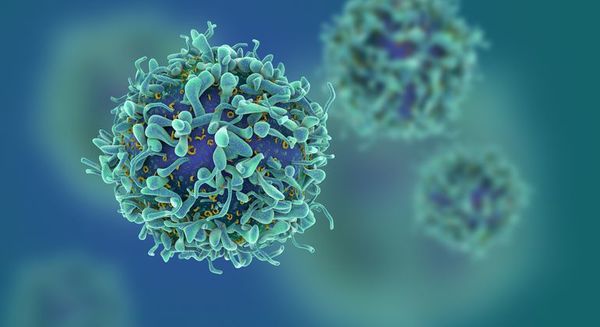 Descubren enzima que puede llegar a utilizarse para atacar el cáncer  - Ciencia - ABC Color