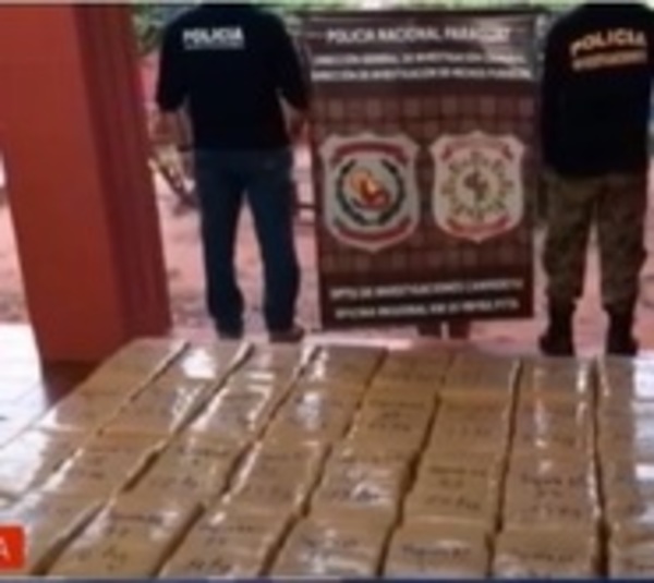 Incautan más de 500 kilos de marihuana en Canindeyú - Paraguay.com