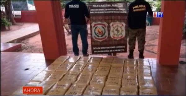 Incautan media tonelada de marihuana en Canindeyú | Noticias Paraguay