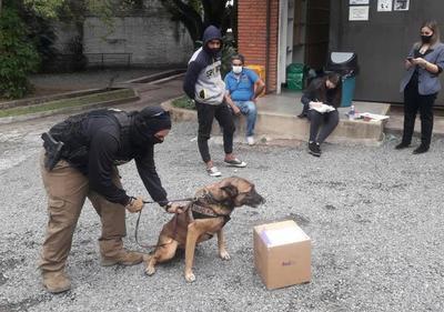 Detienen a joven que pretendía enviar encomienda aérea con cocaína