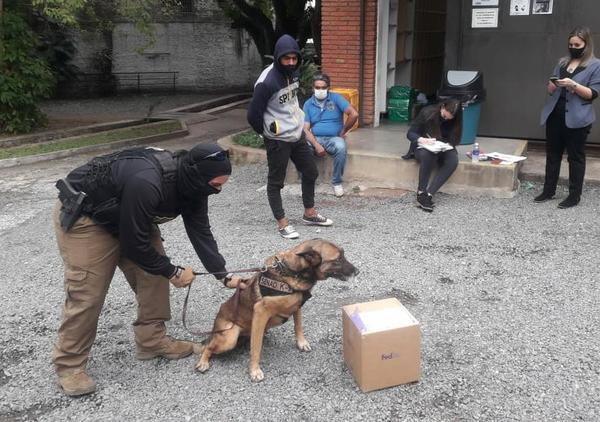 Detienen a joven que pretendía enviar encomienda aérea con cocaína