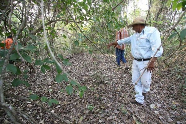 Arquitecto indígena resalta actitud de los nativos Paĩ Tavyterã para buscar a Adelio