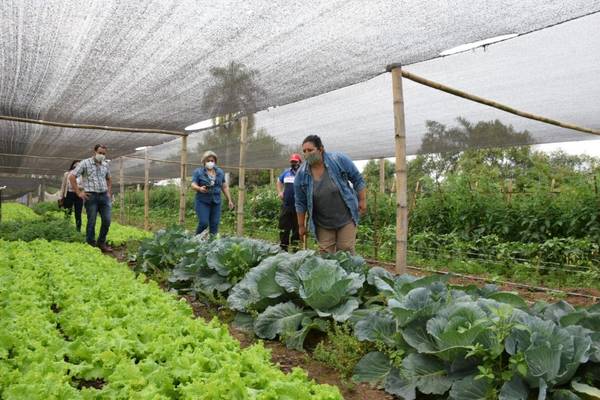 Productores organizados obtienen buenos resultados mediante apoyo del Gobierno - Digital Misiones