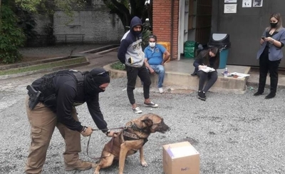 HOY / Detienen a joven tras intentar enviar encomienda aérea con cocaína