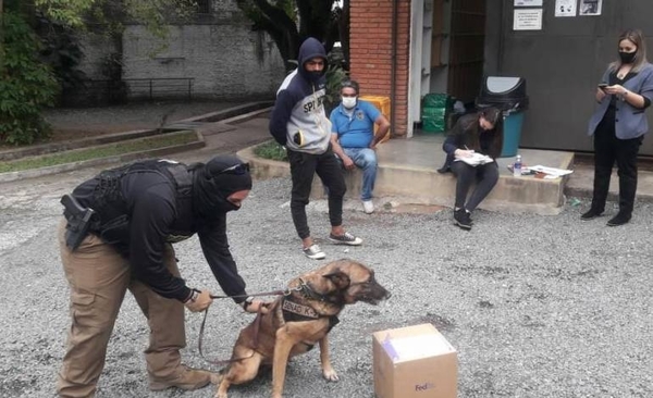 HOY / Detienen a joven tras intentar enviar encomienda aérea con cocaína