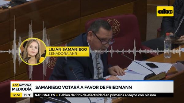 Lilian Samaniego votará contra la pérdida de investidura de Friedmann y ZI - ABC Noticias - ABC Color