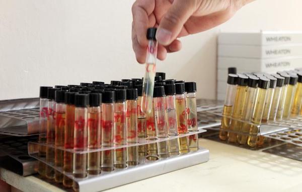 Más de 100 pacientes recibieron la transfusión de plasma con resultados favorables