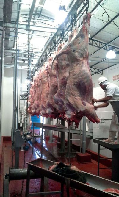 Pedrojuaninos claman por reactivación de Frigorífico Norte - Nacionales - ABC Color