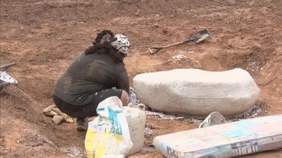 Hallan fósil de “armadillo gigante” en Neuland