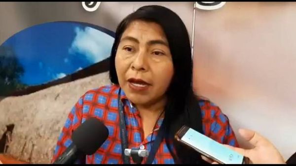 Digna Morilla: destacada representante de la mujer indígena en Amambay