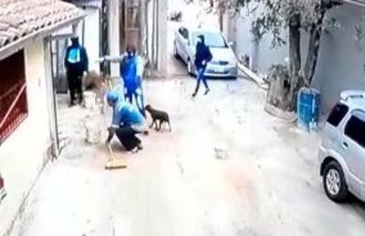 Una banda particularmente bien organizada perpetró asalto domiciliario - Nacionales - ABC Color