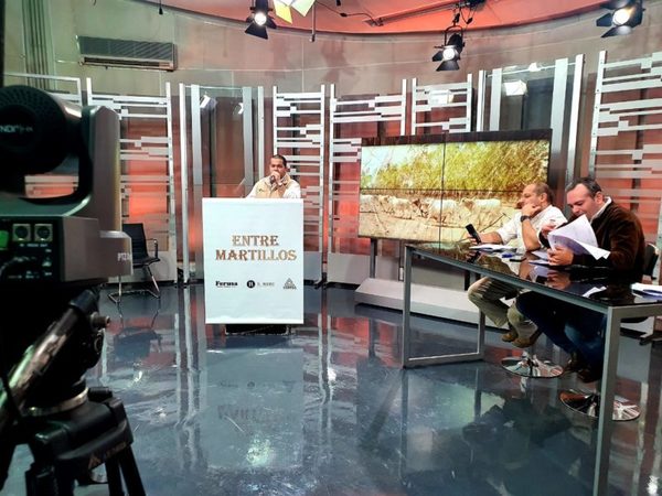 Hoy miércoles, Entre Martillos ofrece 1.500 cabezas de invernada en feria televisada