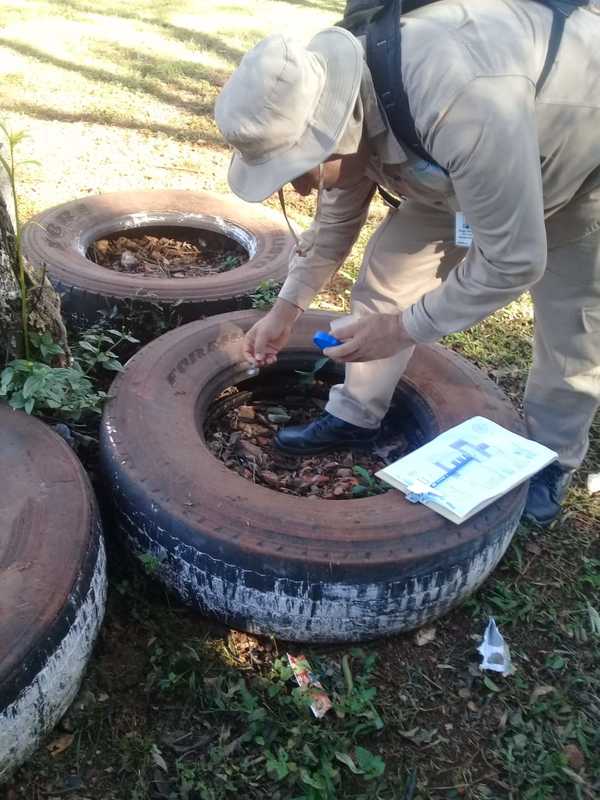 “Pará-na los criaderos”: trabajos de rastrillaje y fumigación previstos para hoy lunes