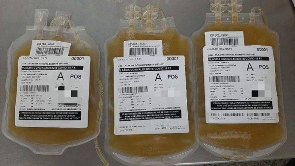 HOY / Covid-19: Tratamiento con plasma arroja resultados alentadores en Alto Paraná