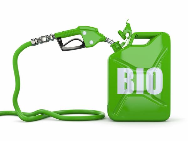 Concretan creación de planta de biocombustible verde en Paraguay - MarketData