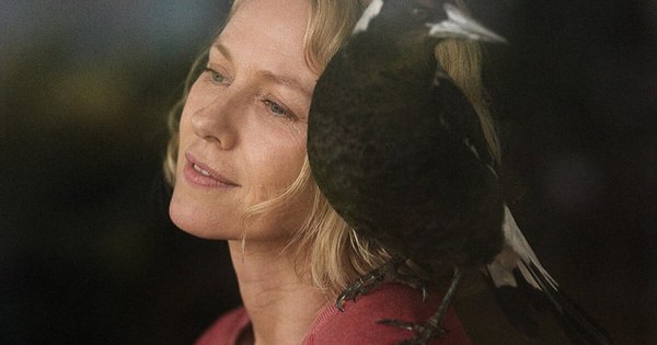 La Nación / Naomi Watts dice que una urraca le robó escenas