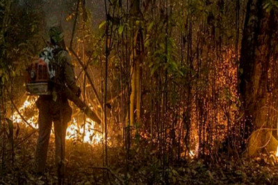 Zona del Pantanal es declarada “estado de calamidad” a causa de incendios