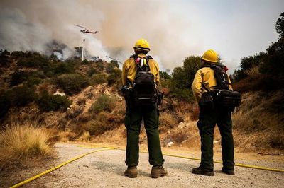 Los incendios de California han quemado casi toda superficie de Puerto Rico  - Mundo - ABC Color