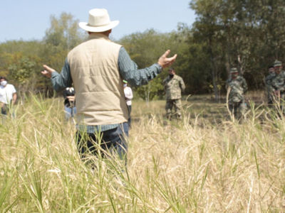 Especies invasoras serán extraídas para introducir plantas nativas en Parque Guasu Metropolitano