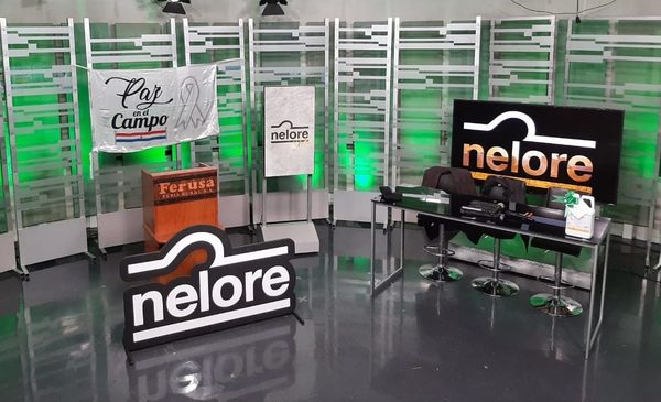 Nelore cerró su feria de Élite con “mucha demanda” por genética de calidad