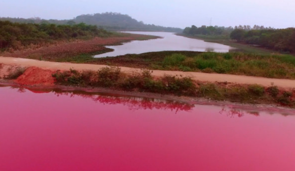 HOY / Imputan a funcionaria del MADES por declarar de impacto ambiental contaminación de Laguna Cerro