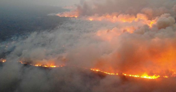 La Nación / Bolivia decreta emergencia nacional por incendios de bosques