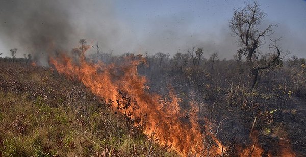 Gobierno Boliviano decretó emergencia nacional por incendios forestales