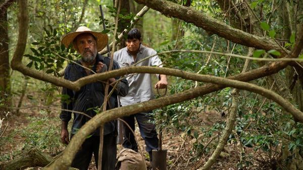 Filmes de siete países latinoamericanos compiten en el Festival de Gramado  - Cine y TV - ABC Color