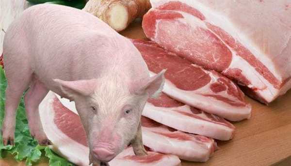 Ordenan suspender importación de embutidos de Alemania, por brote de fiebre porcina - ADN Paraguayo