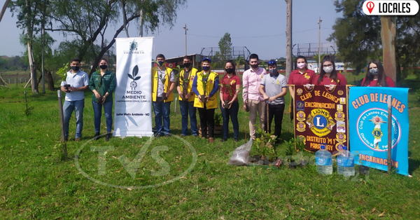 Club de Leones ejecuta proyecto de arborización en Encarnación