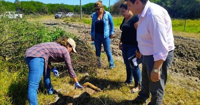 La Nación / Imputan a veterinario sospechado de matar a 36 perros a balazos en el Chaco