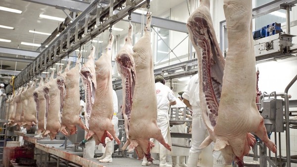 Paraguay suspende importación de productos y subproductos porcinos de Alemania