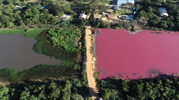 Lago fue partido en dos para beneficio de Waltrading