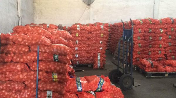 Decomisan unas 44 toneladas de cebollas de contrabando, valuadas en más de G. 280 millones - Nacionales - ABC Color