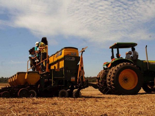 Cultivos de soja son todavía aislados por falta de lluvias