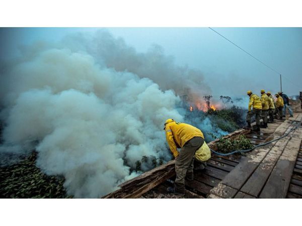 Informe medioambiental francés considera dañino pacto UE-Mercosur