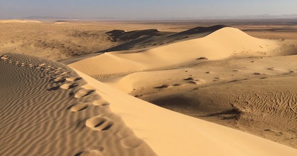 La Nación / Viejas pisadas en Arabia Saudita muestran cómo los humanos abandonaron África