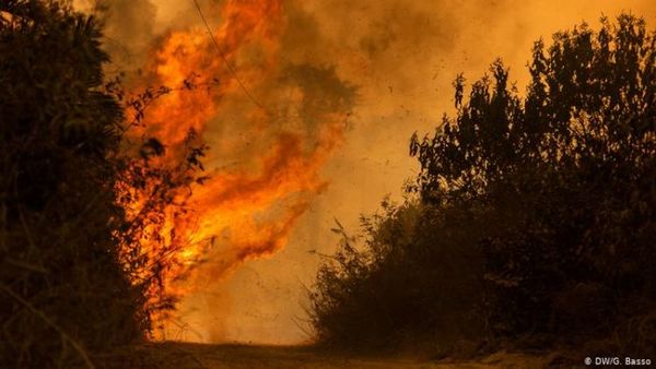 El Pantanal arde y aumenta presión sobre Bolsonaro