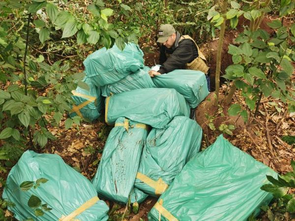 Detectan cargamento de Marihuana oculto dentro de una fosa en Yby Yaú