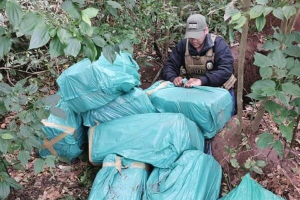 Fiscalía incauta más de 300 kilos de marihuana - Judiciales.net