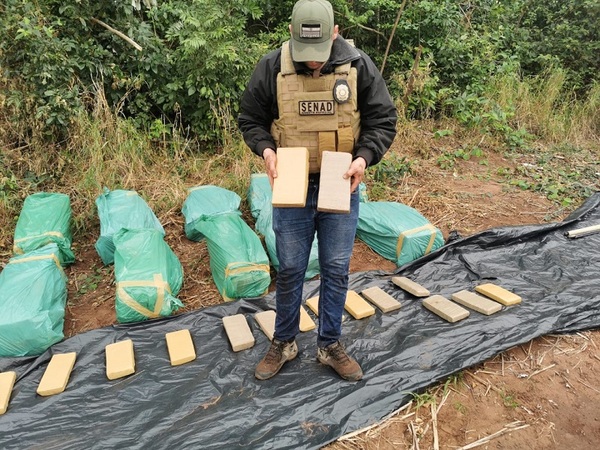 Incautan cargamento de marihuana oculto dentro de una fosa en Yby Yaú